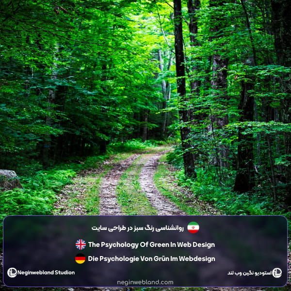 روانشناسی رنگ سبز در طراحی سایت