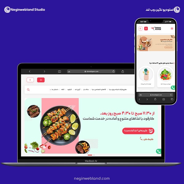 ویژگی های نمونه کارهای طراحی سایت نگین وبلند